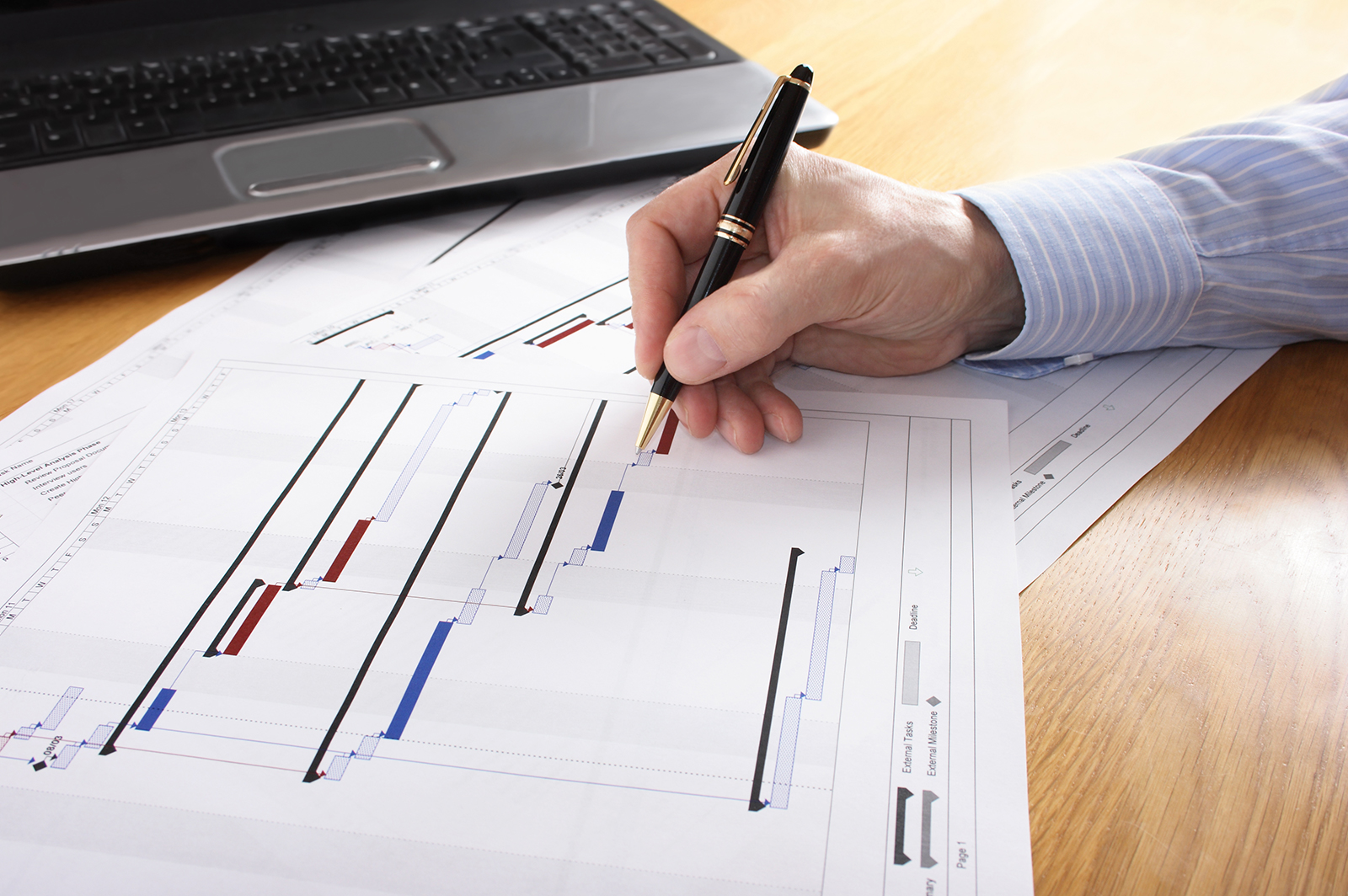 Program Management